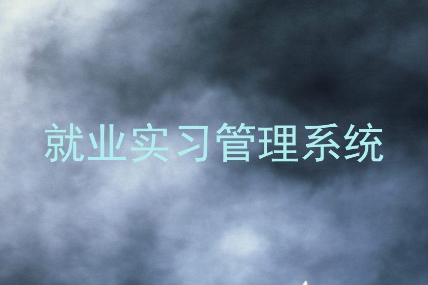 就业实习管理系统