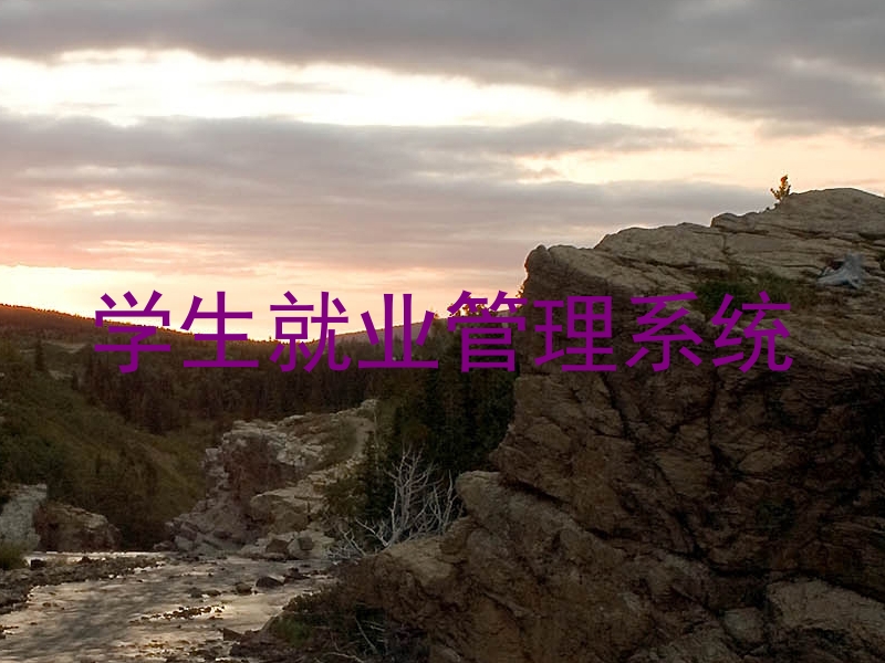 学生就业管理系统