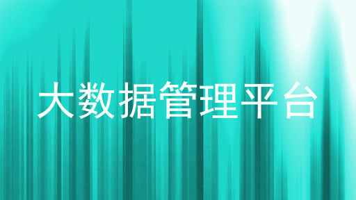大数据管理平台