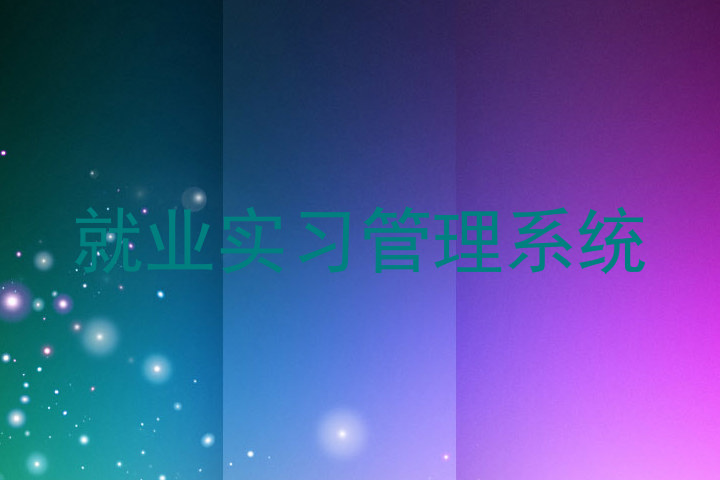 就业实习管理系统