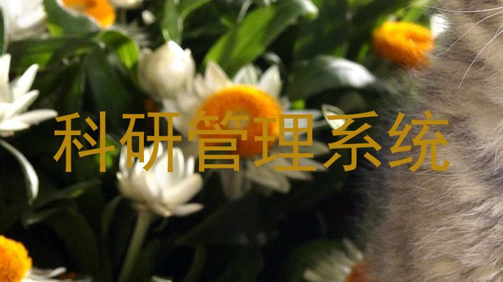 科研管理系统