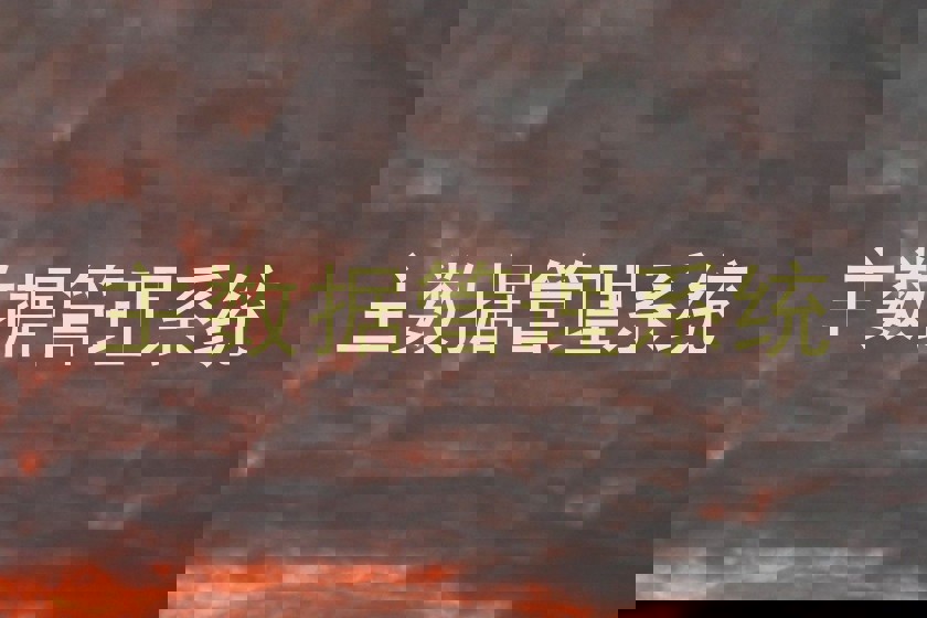 主数据管理系统