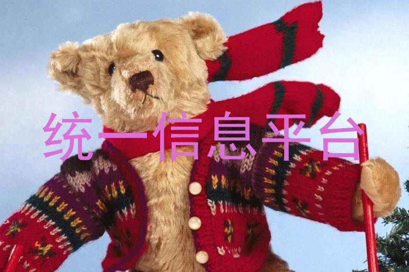 统一信息平台