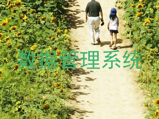 数据管理系统