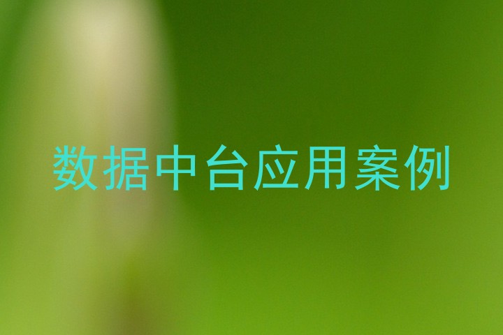 数据中台应用案例