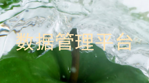 数据管理平台