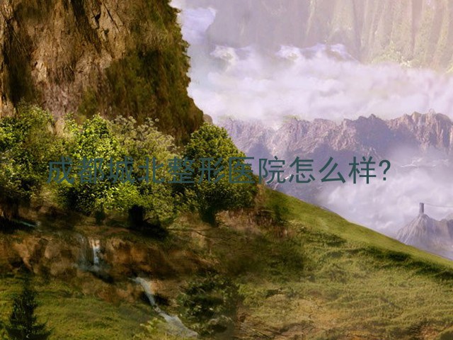 成都城北整形医院怎么样?