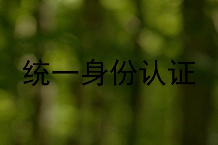 统一身份认证