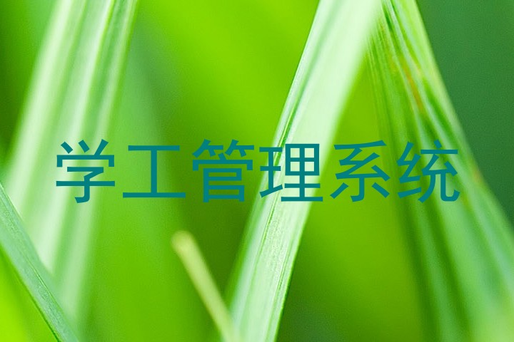 学工管理系统