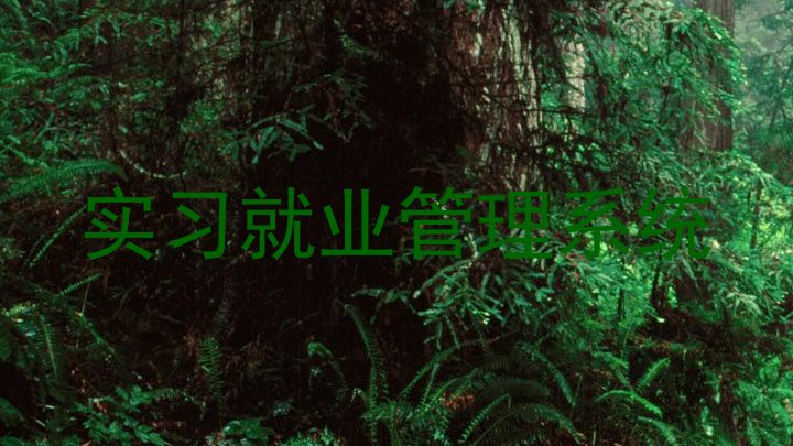 实习就业管理系统