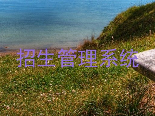 招生管理系统
