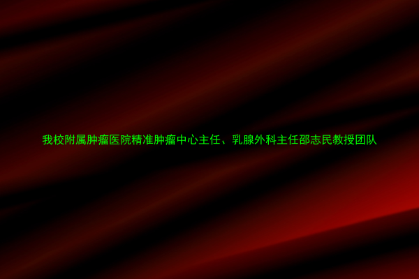我校附属肿瘤医院精准肿瘤中心主任、乳腺外科主任邵志民教授团队