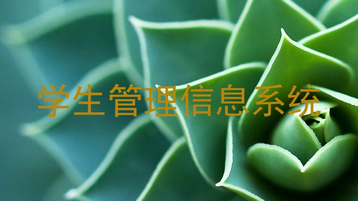 学生管理信息系统