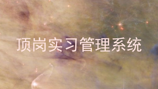 顶岗实习管理系统