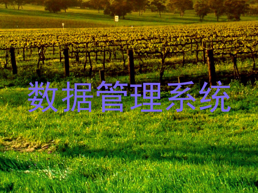 数据管理系统