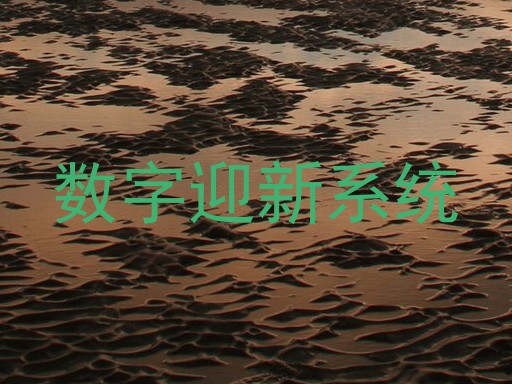 数字迎新系统