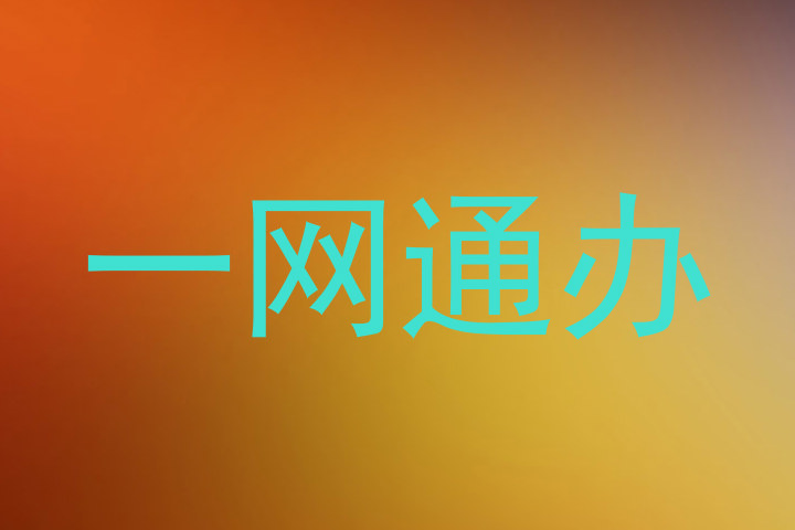 一网通办