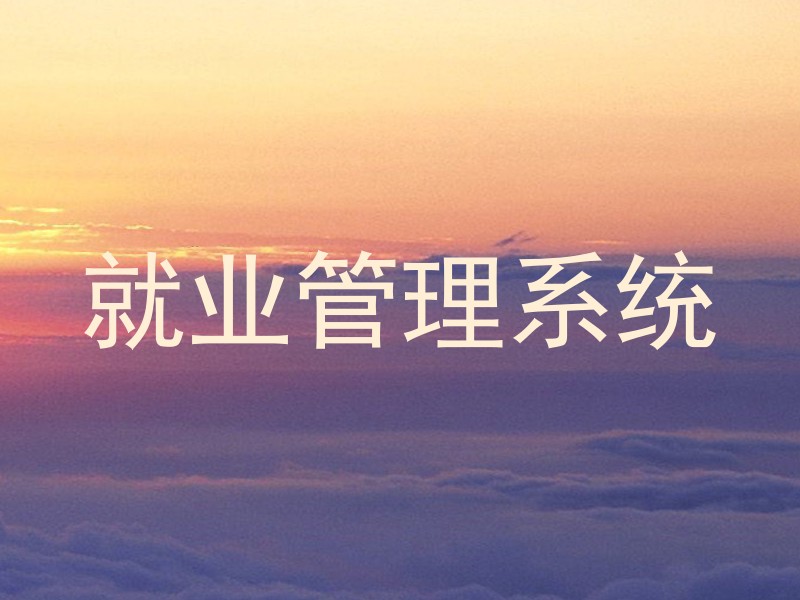就业管理系统