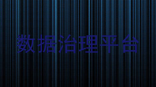 数据治理平台