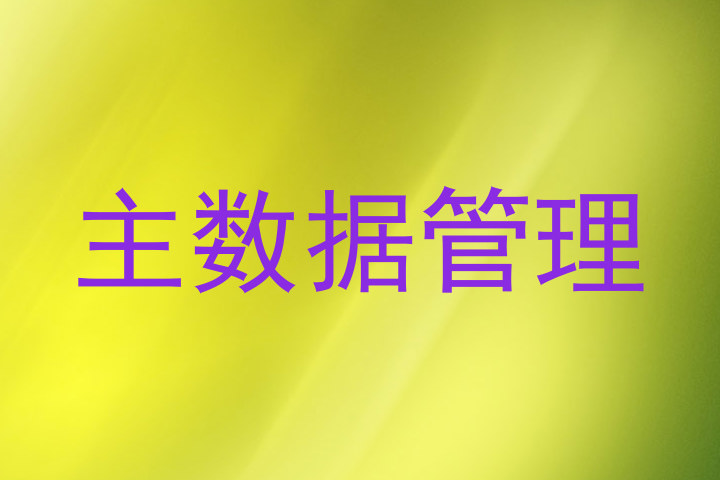 主数据管理