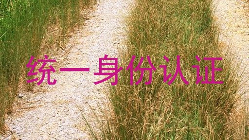 统一身份认证