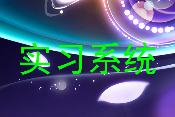 实习系统