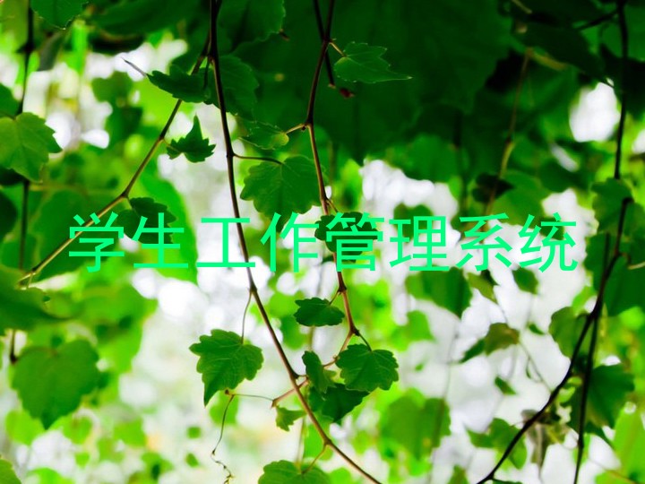 学生工作管理系统