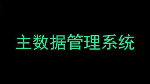 主数据管理系统