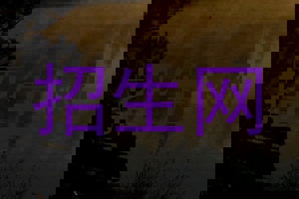 招生网