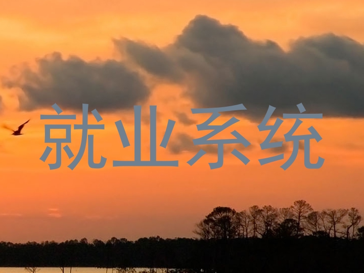 就业系统