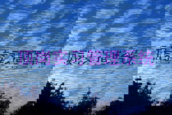顶岗实习管理系统