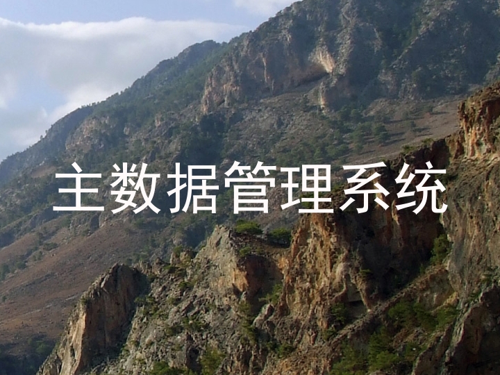 主数据管理系统