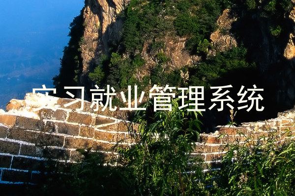 实习就业管理系统