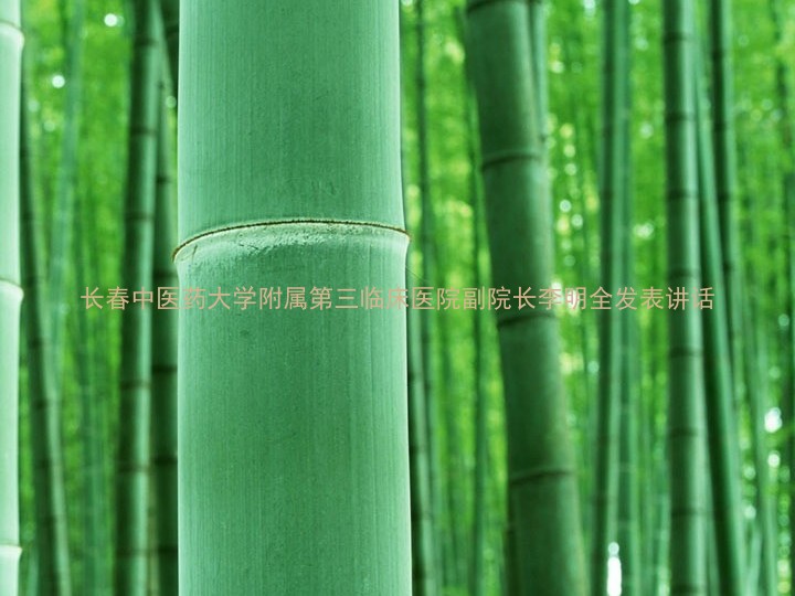 长春中医药大学附属第三临床医院副院长李明全发表讲话