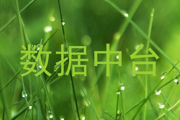 数据中台