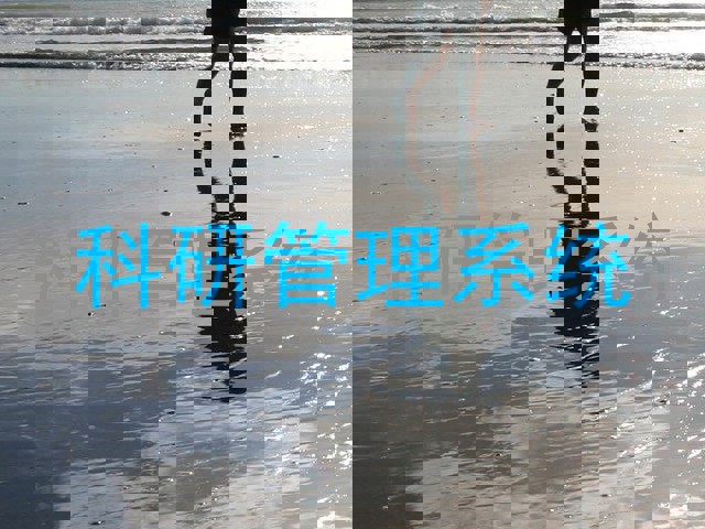 科研管理系统
