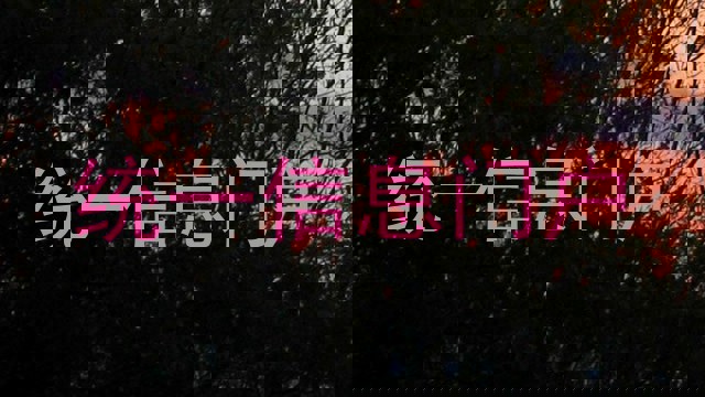 统一信息门户