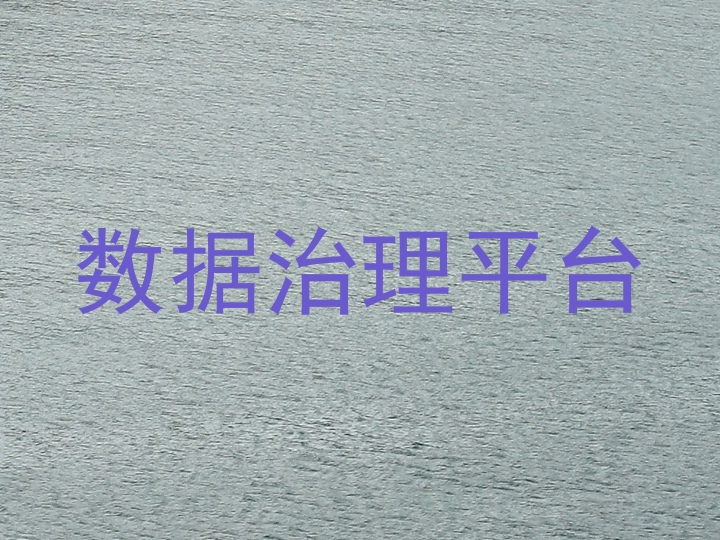 数据治理平台