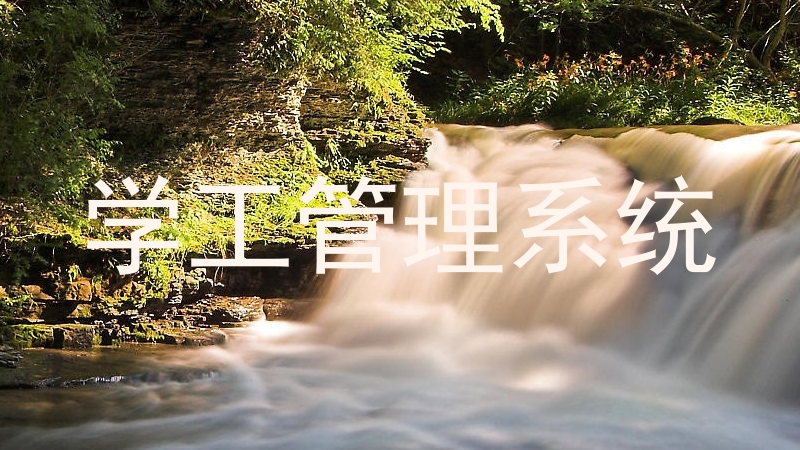 学工管理系统