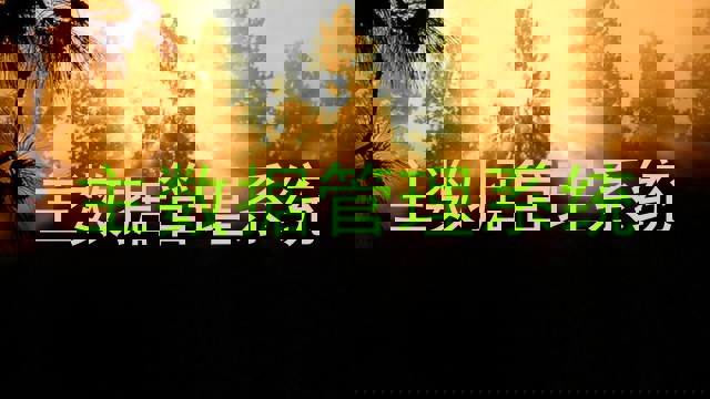 主数据管理系统