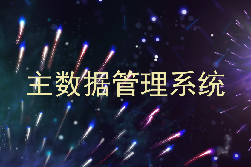 主数据管理系统