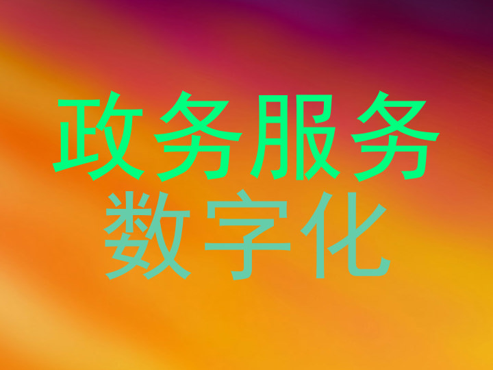 政务服务