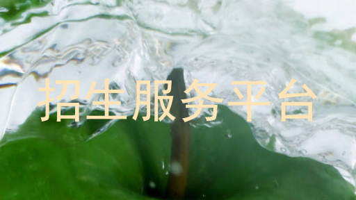 招生服务平台