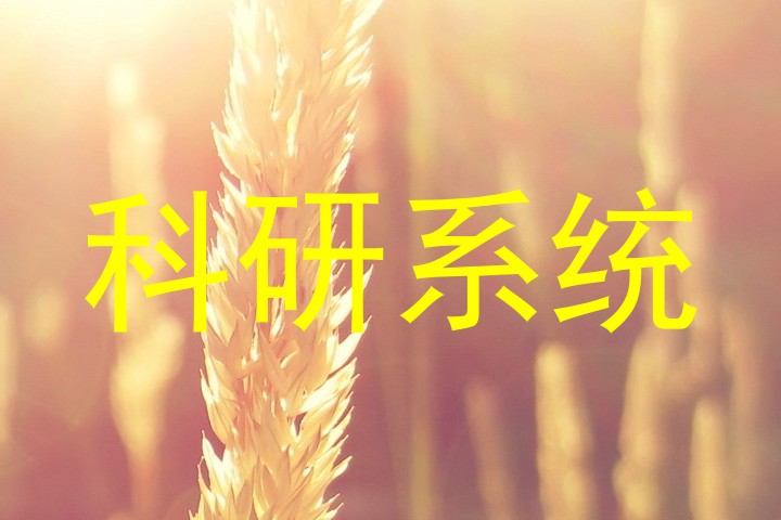 科研系统