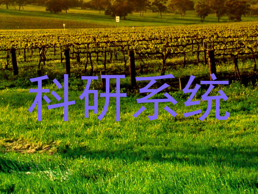 科研系统