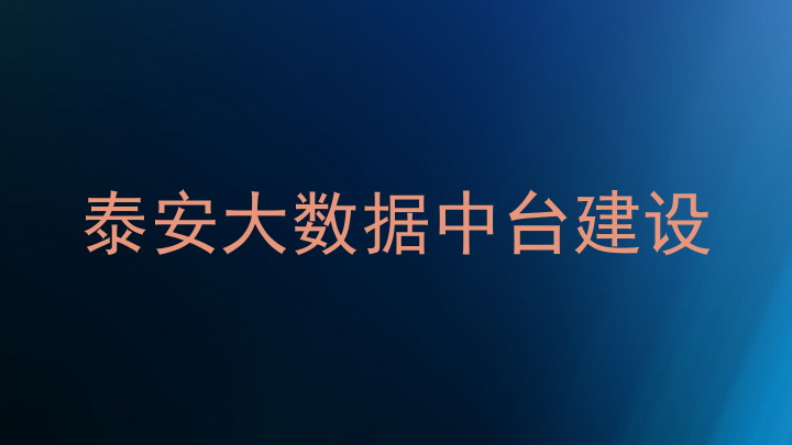 泰安大数据中台建设