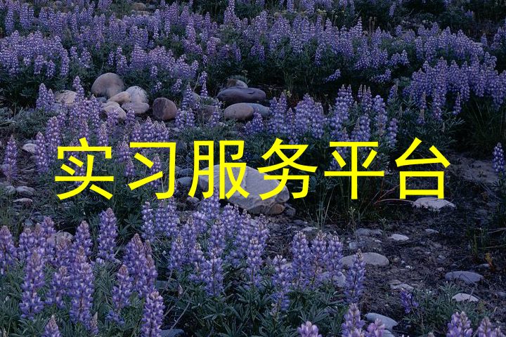 实习服务平台