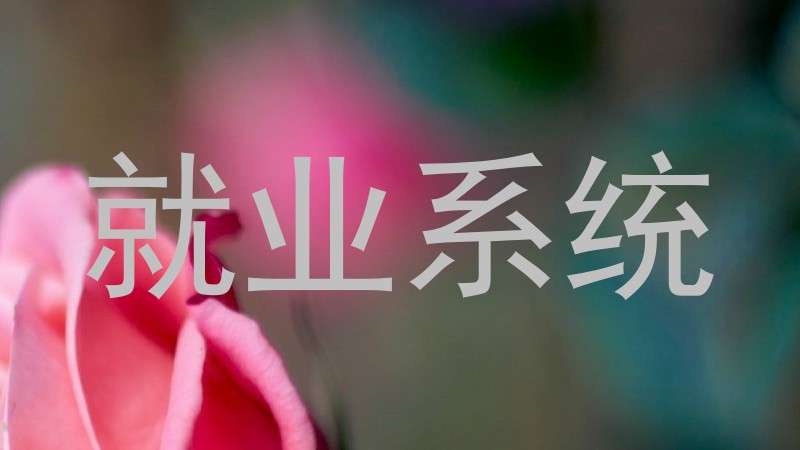 就业系统