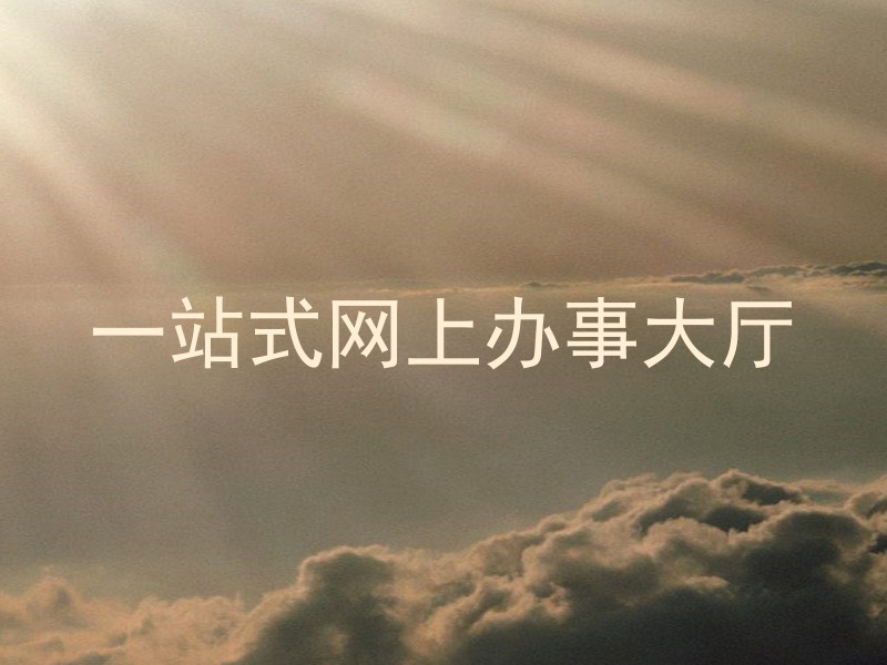 一站式网上办事大厅
