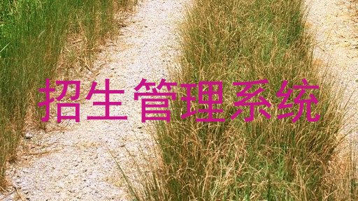 招生管理系统